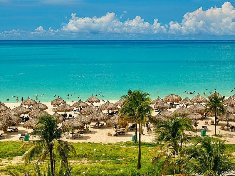 Best Family Resorts in Aruba Featured Image