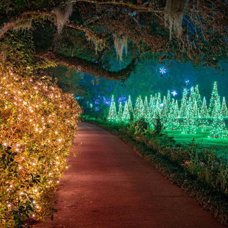 Christmas lights at Bellingrath Gardens