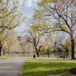 Boston Common during the spring