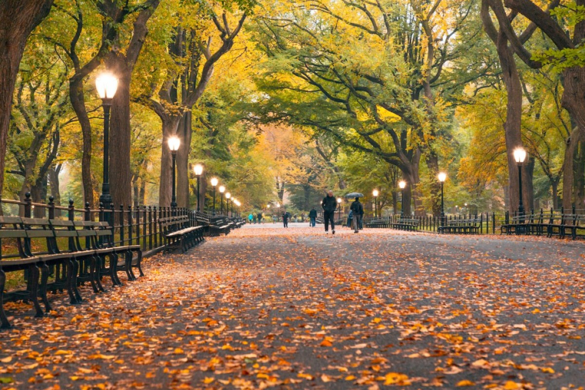 Central Park in NYC