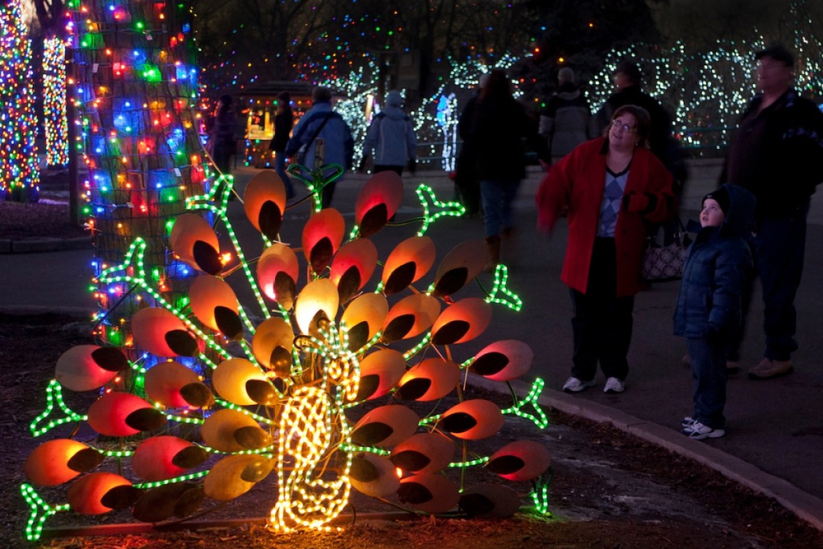 Stroll through 80 acres of creative light displays at the Denver Zoo.