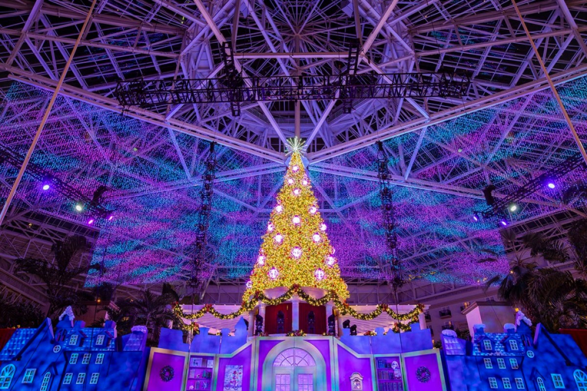 Gaylord Palms Resort towering tree