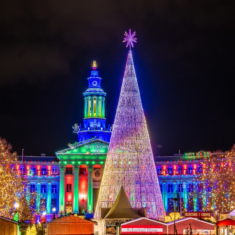 Mile High Tree in Denver