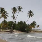 Dominican Republic Beach: Dominican Republic Vaccine Requirements & What Vaccinations Are Recommended