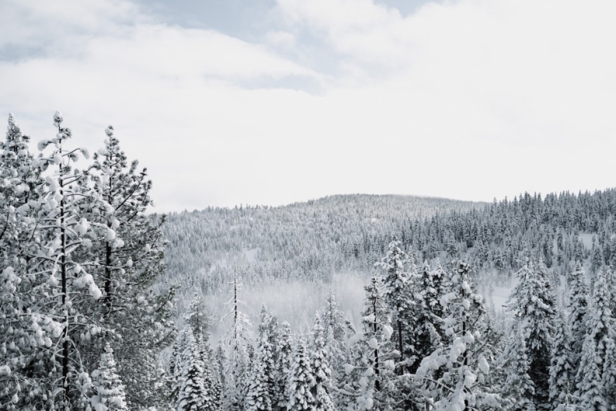 Winter scene in Lake Tahoe