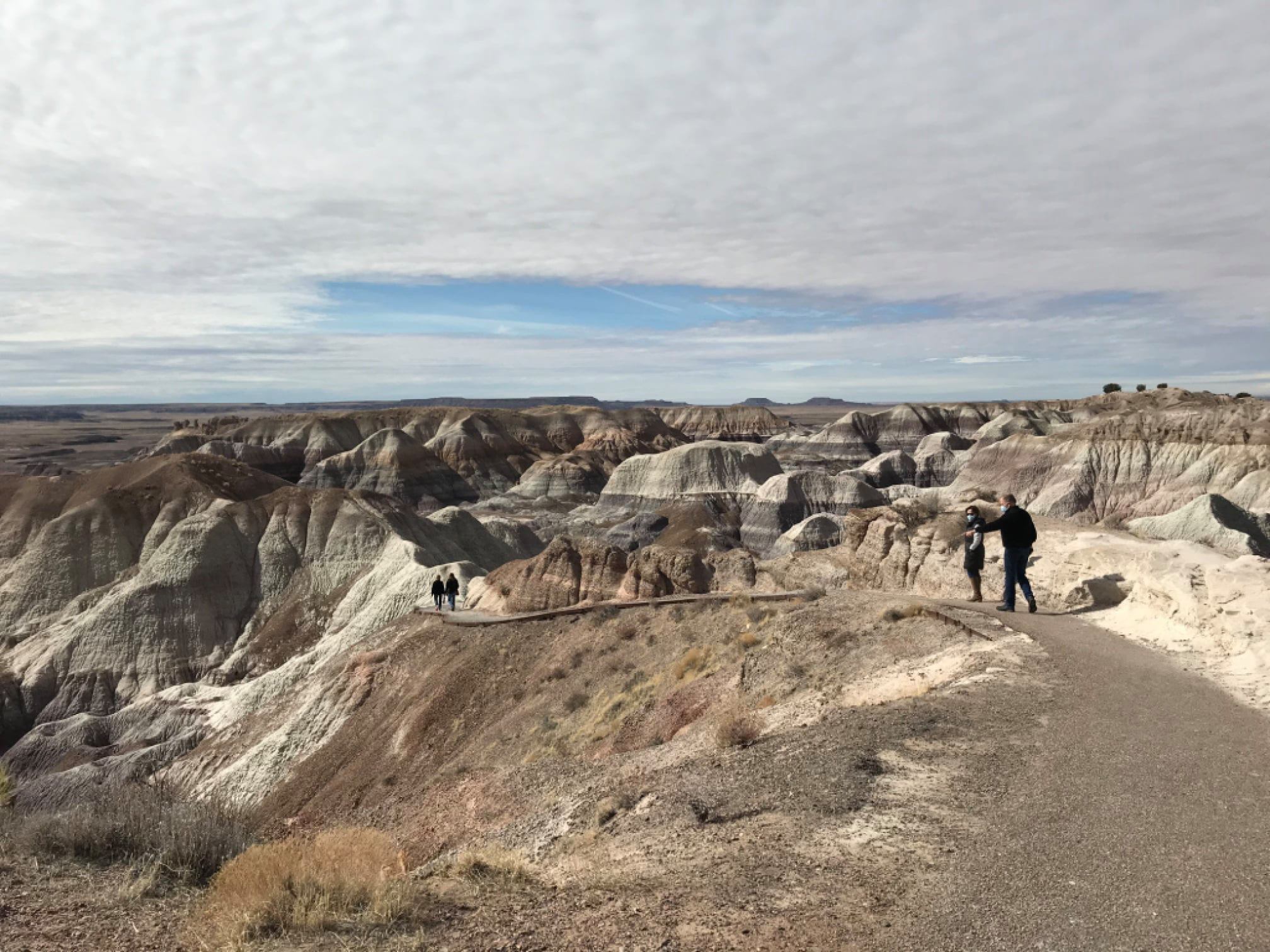 Petrified Forest Scenic Road
