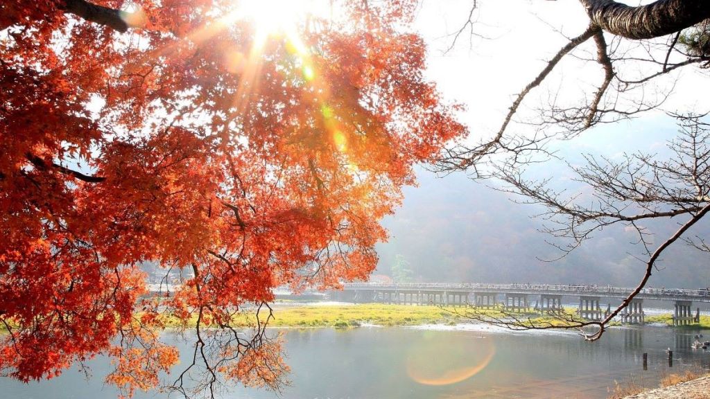 day-trip-Arashiyama-Japan