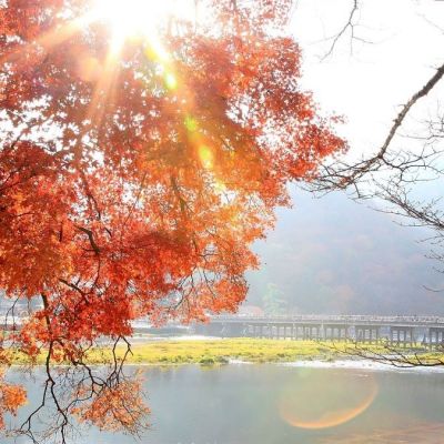 day-trip-Arashiyama-Japan