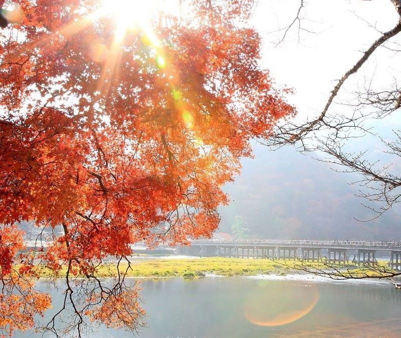 day-trip-Arashiyama-Japan