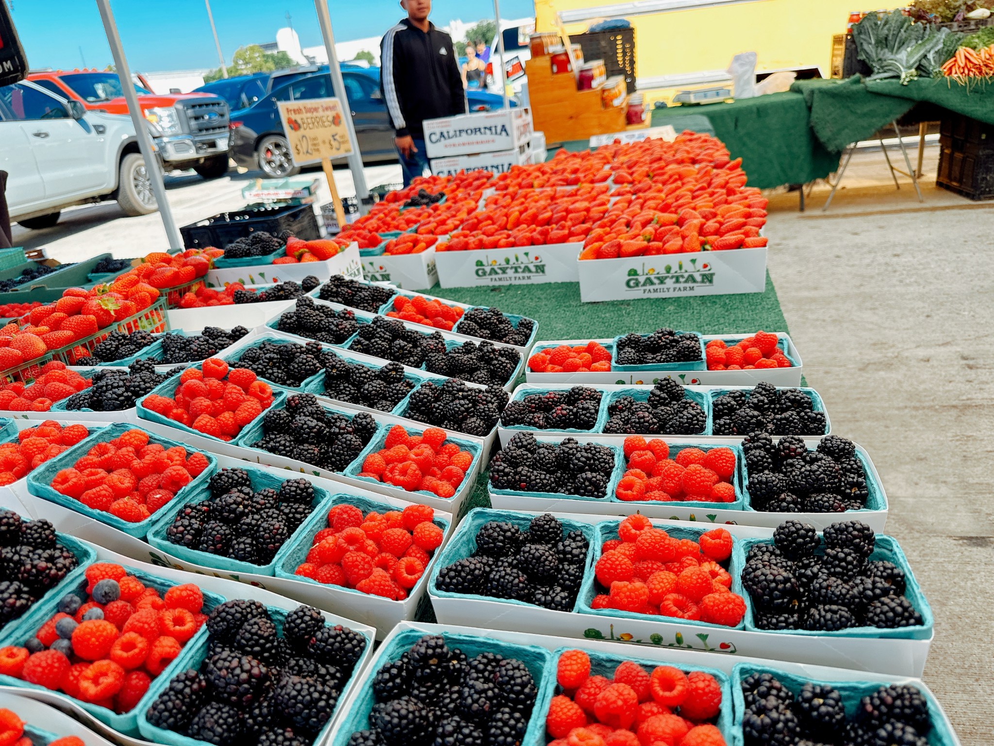 9 Reasons Why You Should Visit Torrance, California Instead of Los