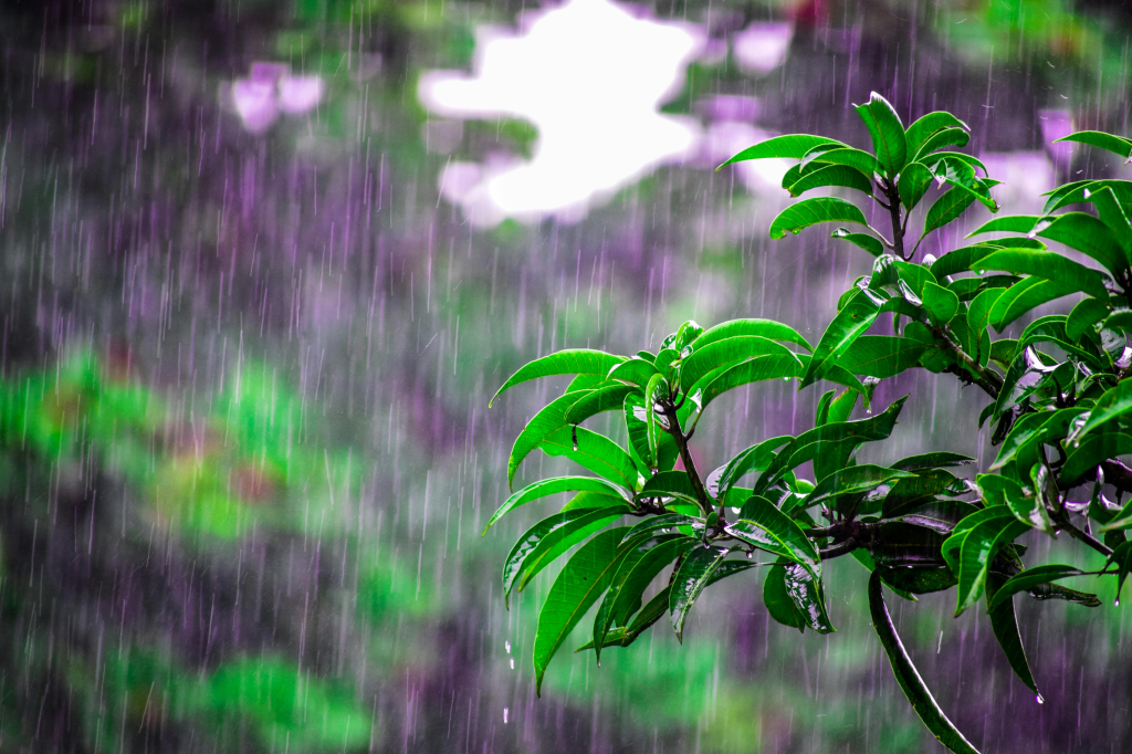 Tulum rainy season