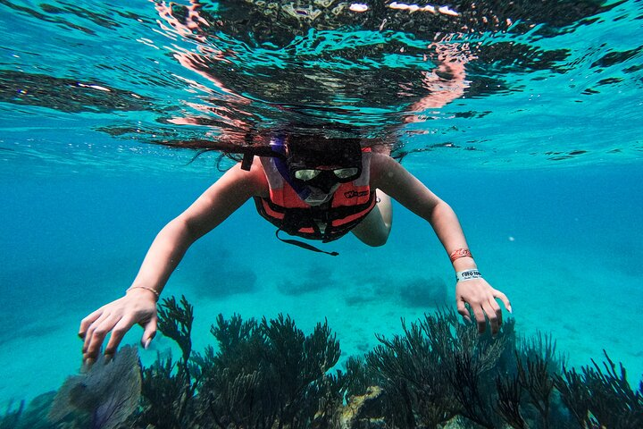 Scuba diving in Tulum