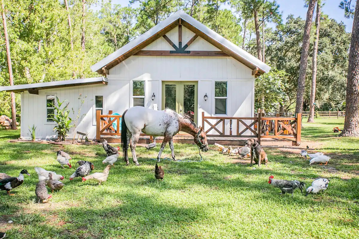 Rental Recs: The Most Family-Friendly Airbnbs in Florida Rental Recs: The Most Family-Friendly Airbnbs in Florida