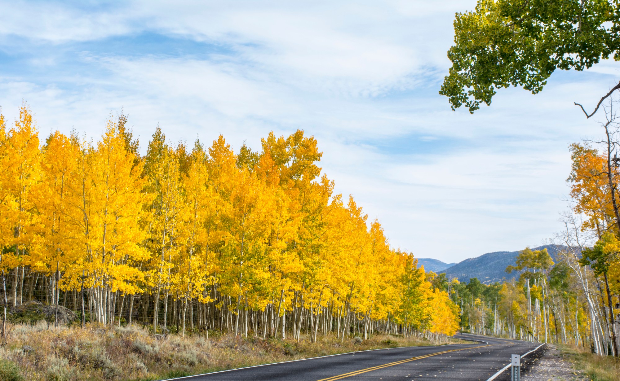 Here's how to visit Pando for US residents.