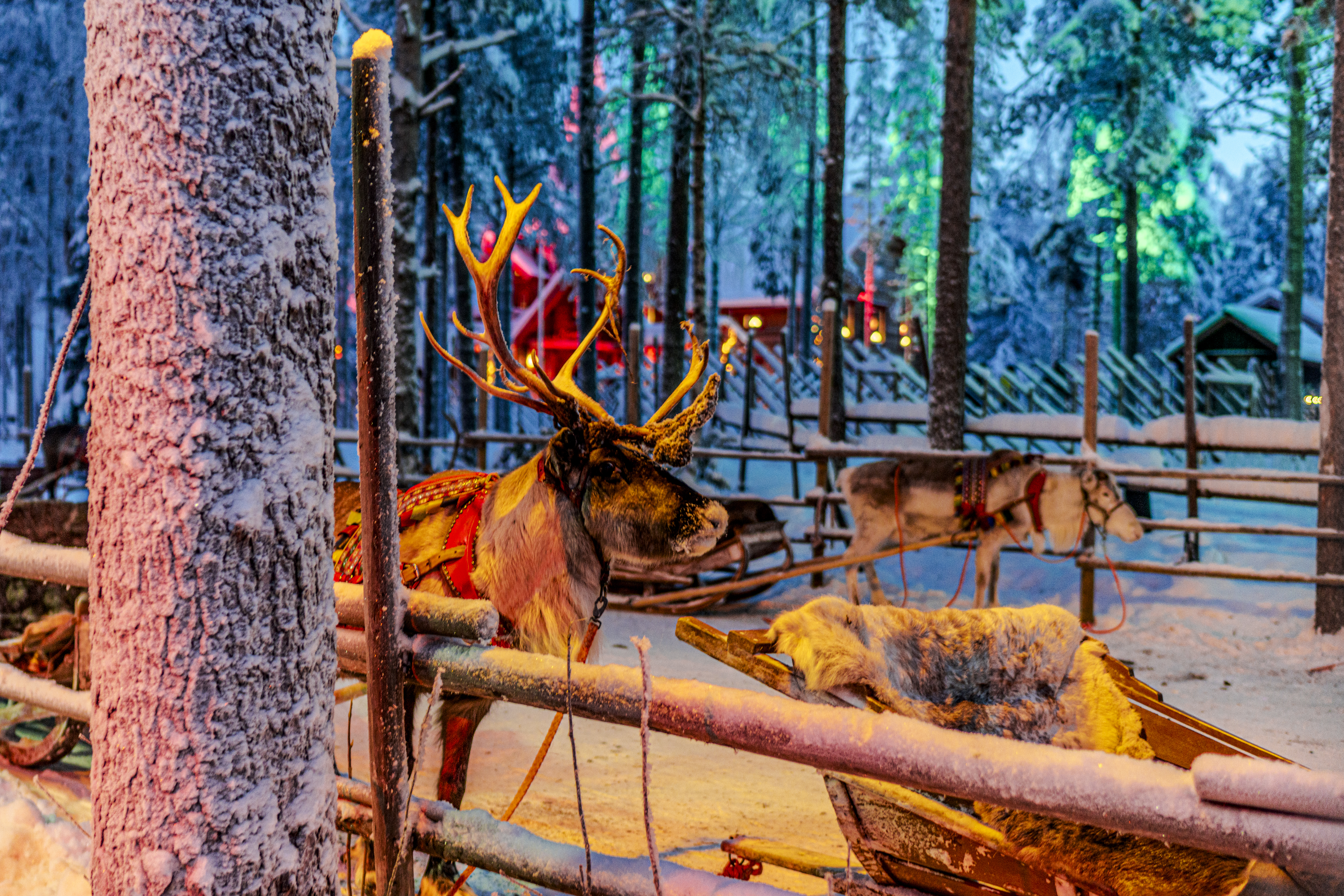 Christmas Travel Guide: How to Visit Santa Claus Village in Rovaniemi, Finland