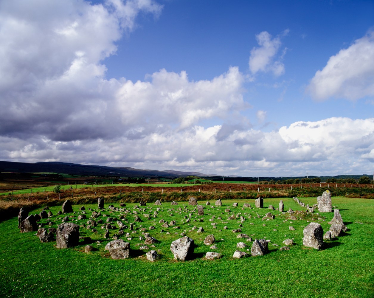 Moated site in Ballyarthur (condons and Clongibbon By., Marshalstown Par.)