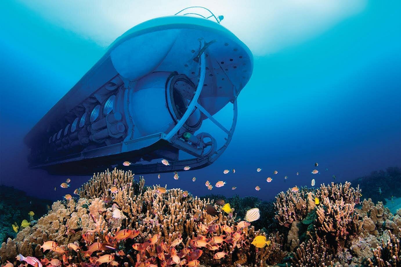 How to Take a Submarine Tour in Hawaii: Maui, Waikiki, & Kona