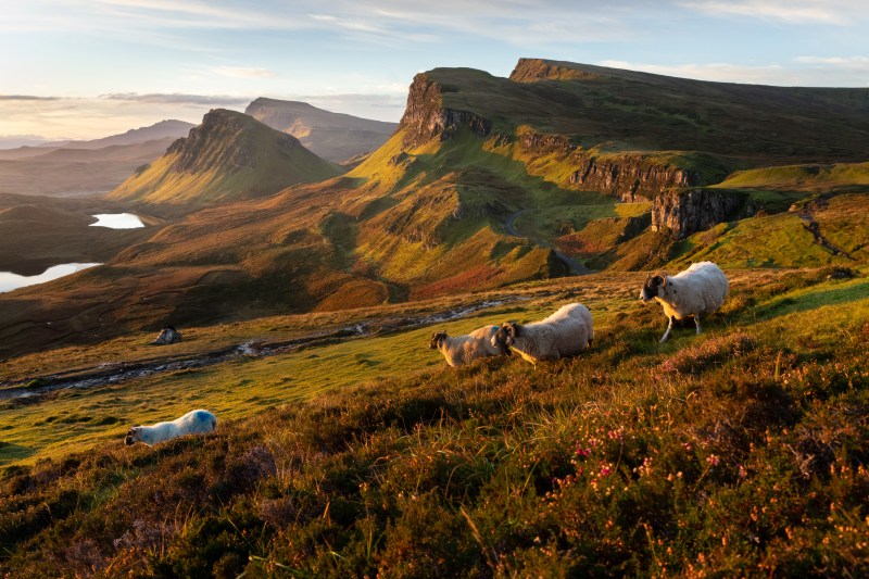 The Best Private Tours of Scotland, Ireland, England, & Beyond ...