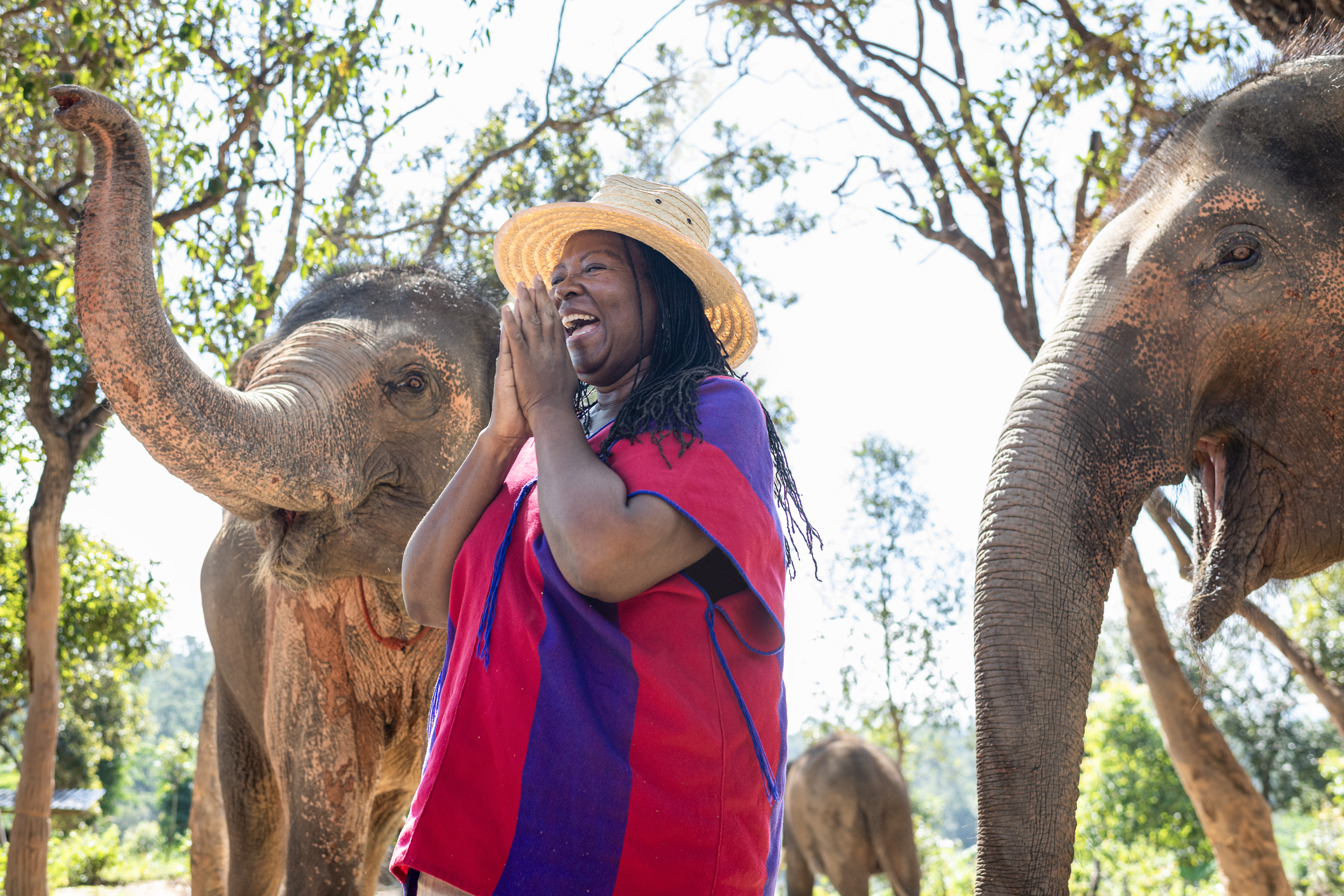 9 Places to See Elephants in Thailand That Are Ethical—Plus, More Animals