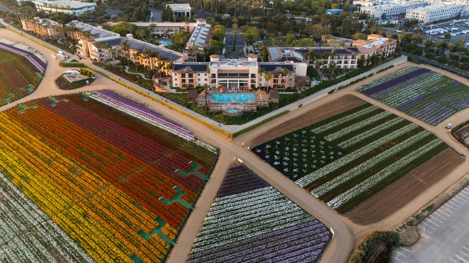 8 Spring Destinations to Visit in April for a Colorful Visit | TravelAwaits