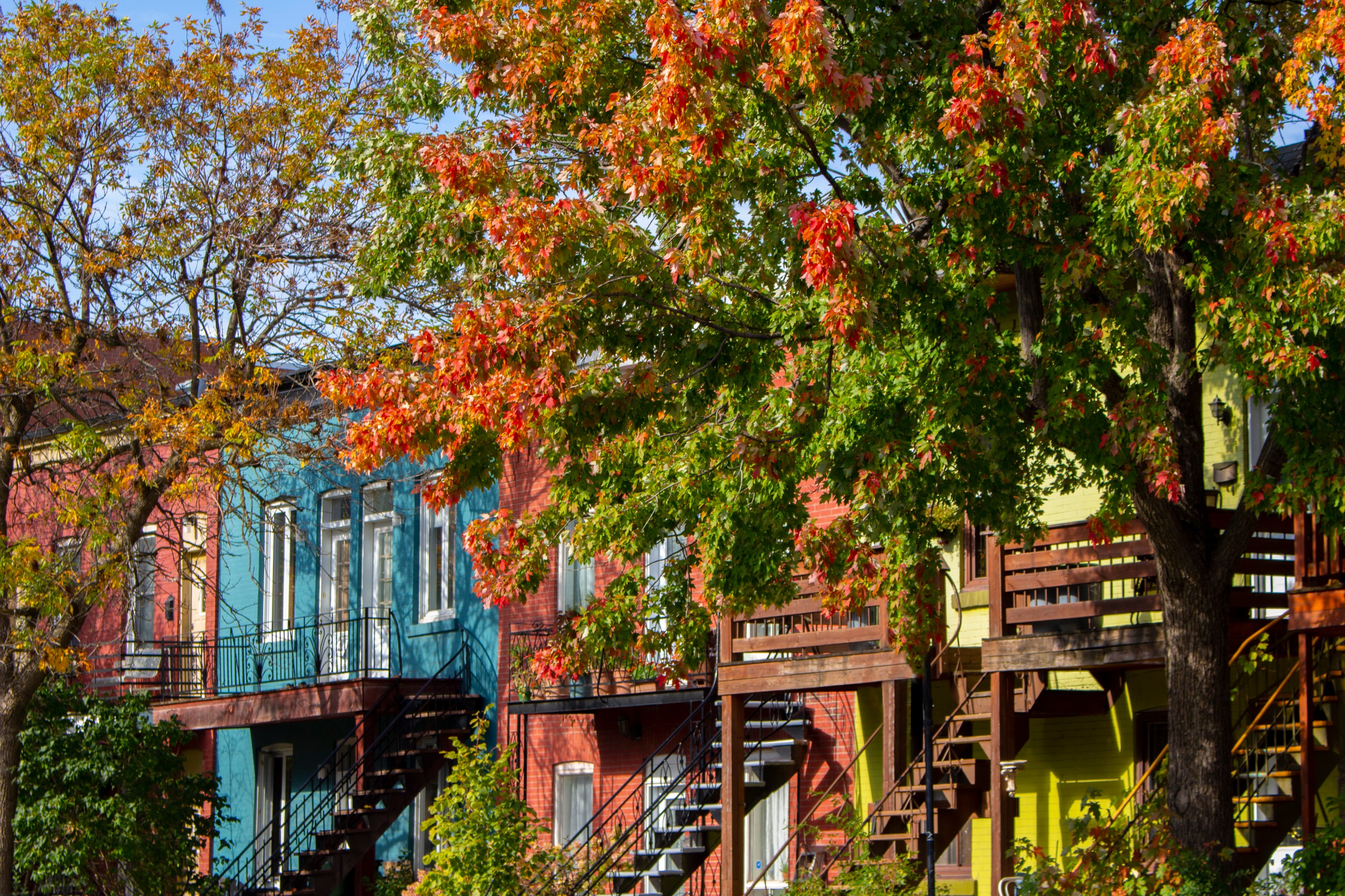 Destination Border 5 International Destinations Close to the US Border for a Last-Minute ...