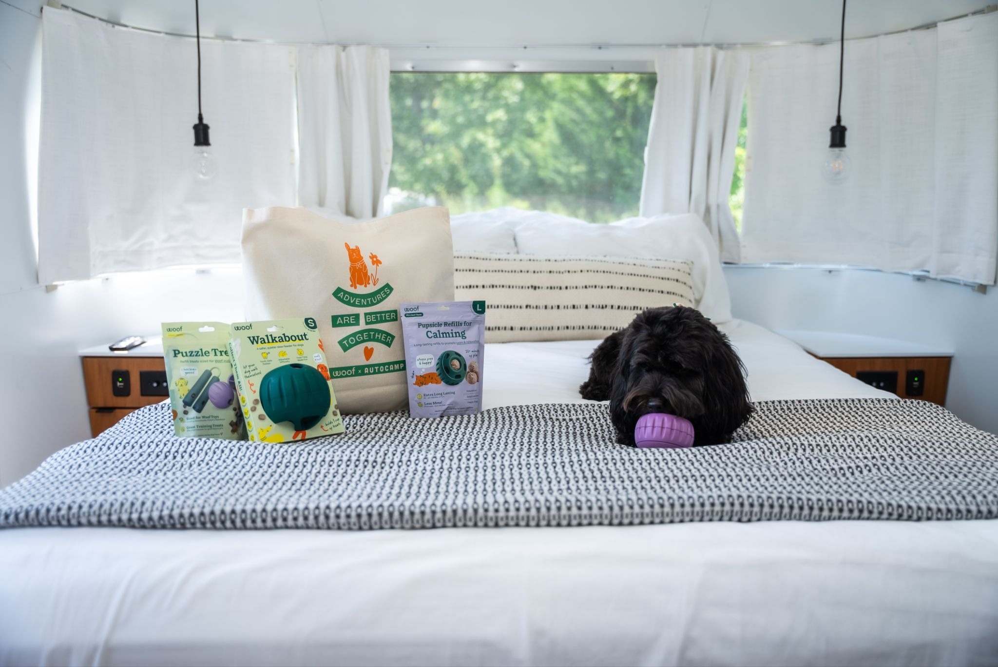 AutoCamp & Woof Just Teamed Up—Here Are 6 Reasons Dog-Lovers Should Book a Stay